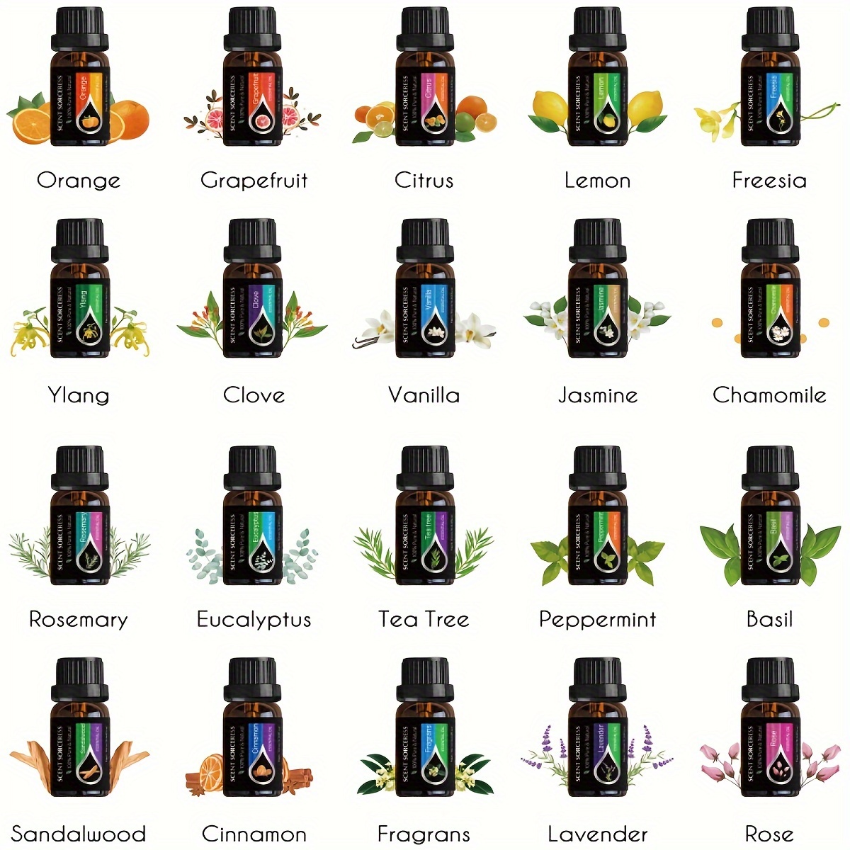 20 sztuk/zestaw Klasyczny Zest – Perfume Fragrance Oil recenzja i cena